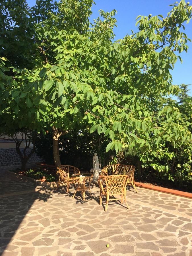 B&B "Croce Nivera" Vibo Valentia Exterior photo